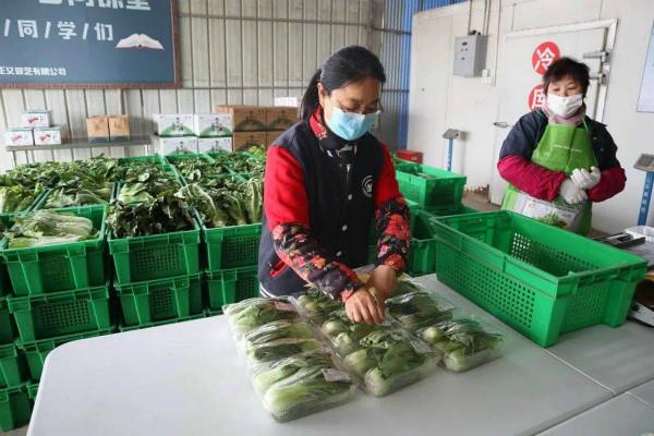 沪上首张食用农产品合格证书开出 生产者自我承诺背后的深意