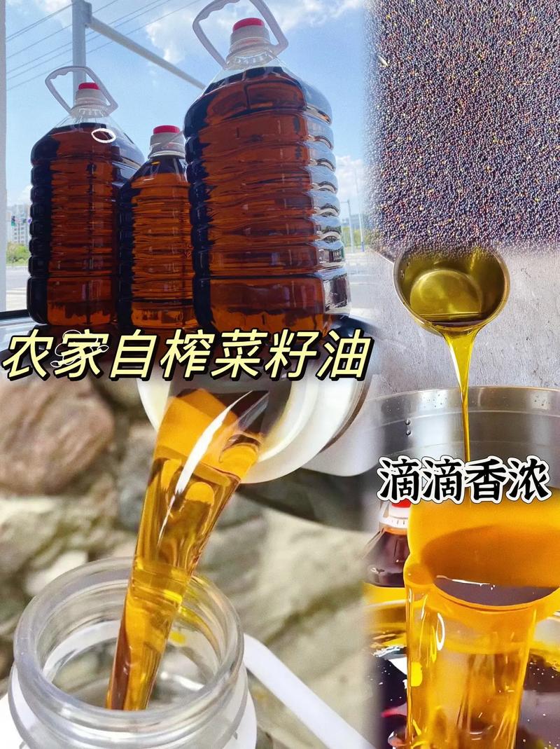 一勺菜籽油，半生烟火气