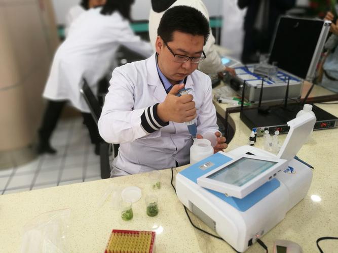 食用农产品快检有妙招 守护舌尖安全的实用指南