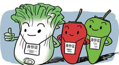 日照市试行食用农产品合格证制度 为“舌尖上的安全”加上“溯源锁”